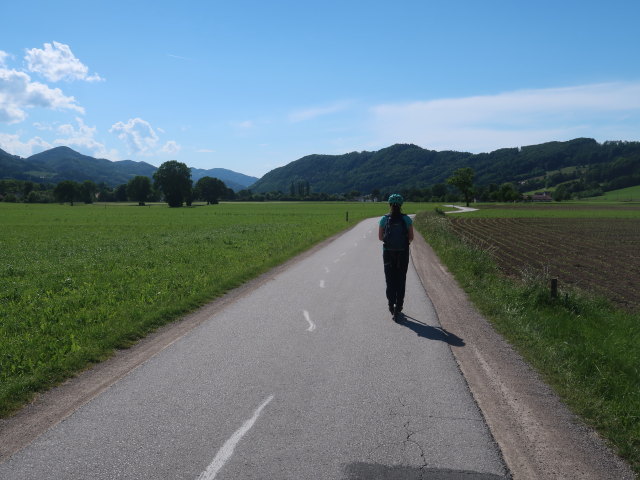 Sabine zwischen Rohrbach an der Gölsen und Rainfeld