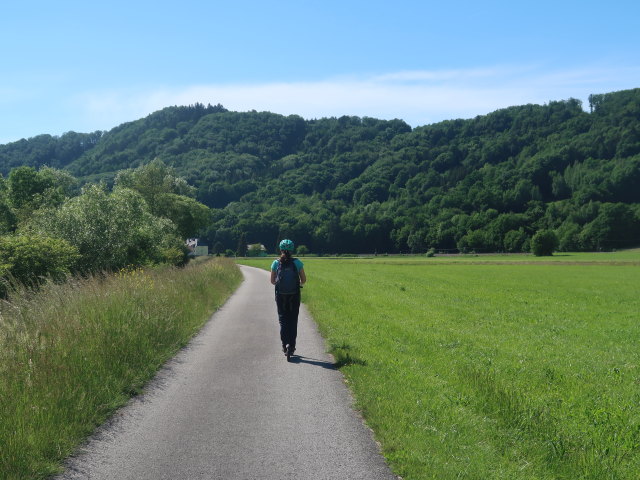 Sabine zwischen Rohrbach an der Gölsen und Rainfeld
