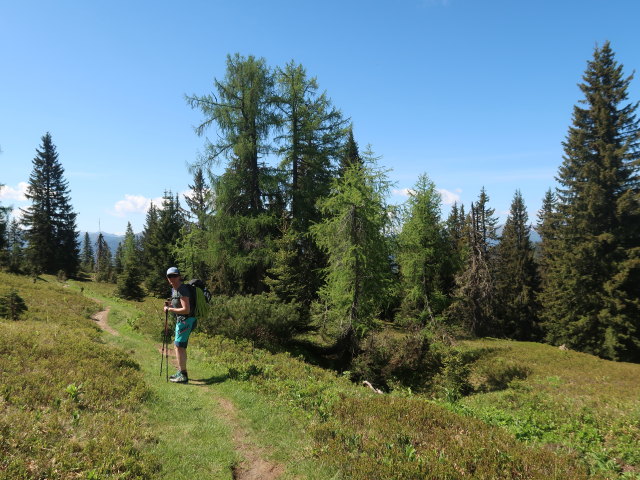 Romana zwischen Heldenkreuz und Treffnersee (4. Juni)