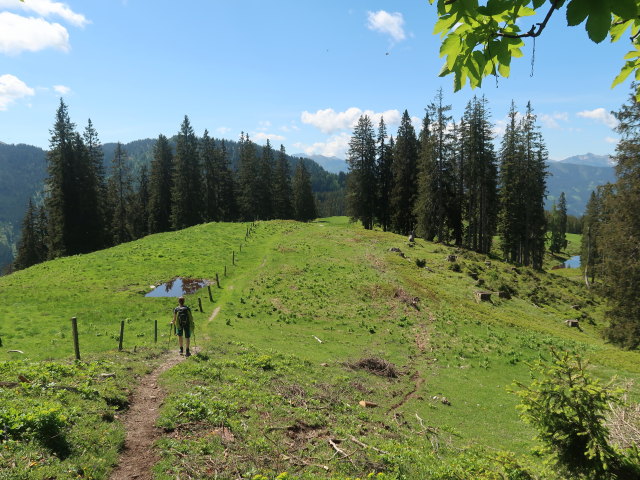 Romana zwischen Heldenkreuz und Treffnersee (4. Juni)