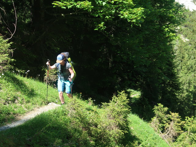 Romana zwischen Mödlinger Hütte und Kalblinggatterl (4. Juni)