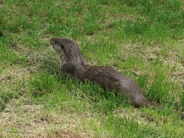 UnterWasserReich in Schrems