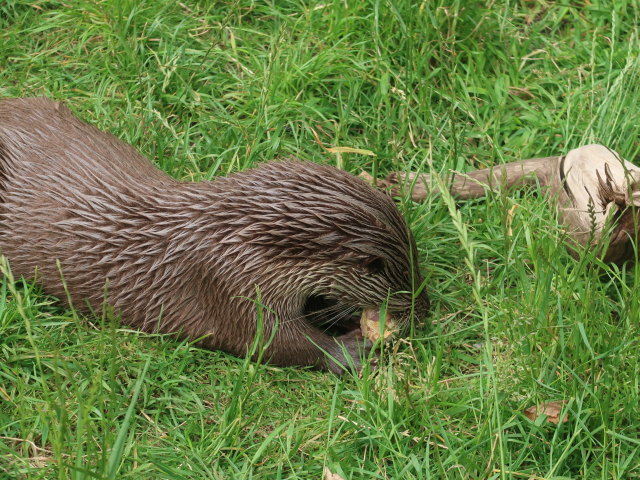 UnterWasserReich in Schrems