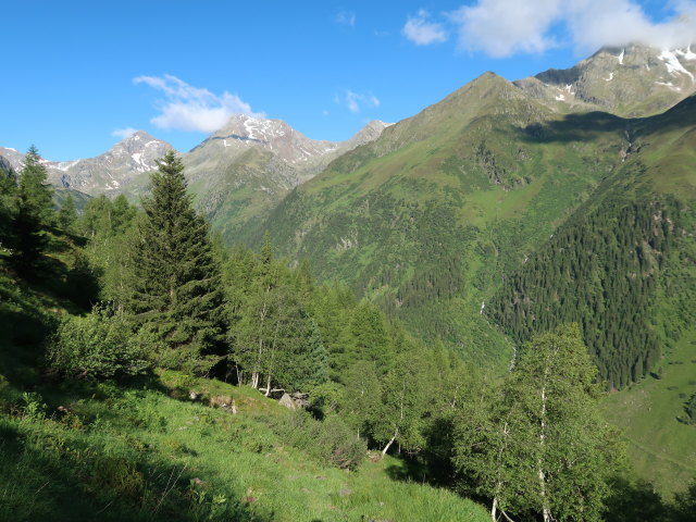 zwischen Gschnitztal und Gargglerin (11. Juni)