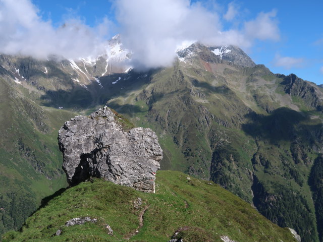 zwischen Gschnitztal und Gargglerin (11. Juni)