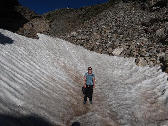 Sabine zwischen Gstreinjöchl und Innerer Wildgrube (12. Juni)