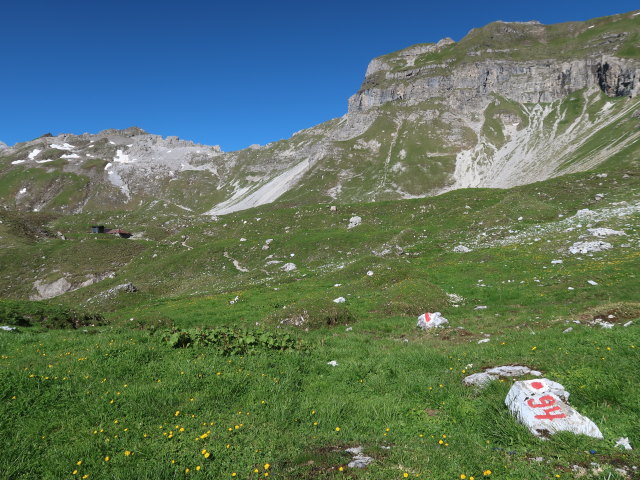 zwischen Innerer Wildgrube und Vorderer Wildgrube (12. Juni)