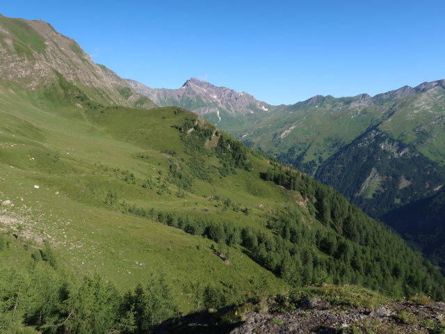 zwischen Häusleralm und Lonzaköpfl (2. Juli)