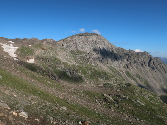 Feldseekopf vom am Duisburg-Hannover-Weg aus (2. Juli)