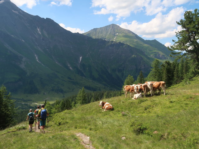 Sarah, Christian und Georg zwischen Riffelscharte und Erlehenalm (3. Juli)