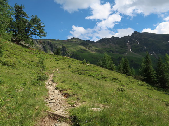 zwischen Riffelscharte und Erlehenalm (3. Juli)