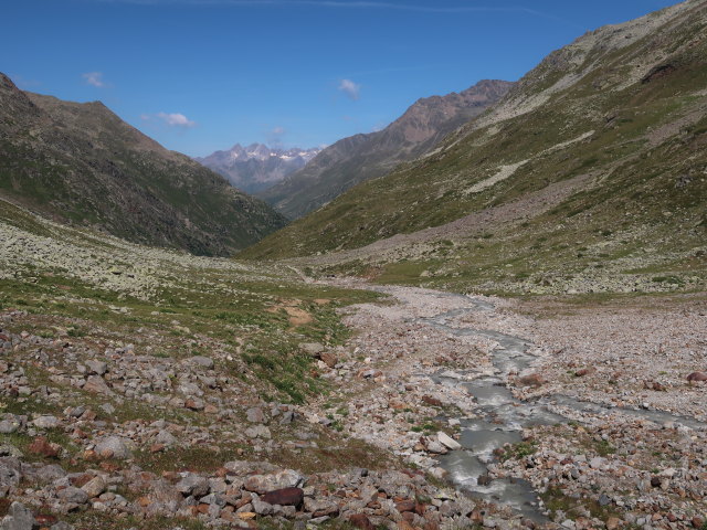 Talpillen (16. Juli)