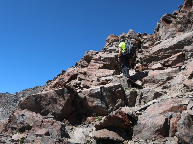 Ronald zwischen Übeltalferner und Wildem Pfaff (17. Juli)