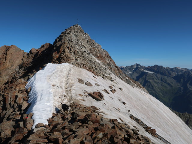 zwischen Wildem Freiger und Signalgipfel (18. Juli)