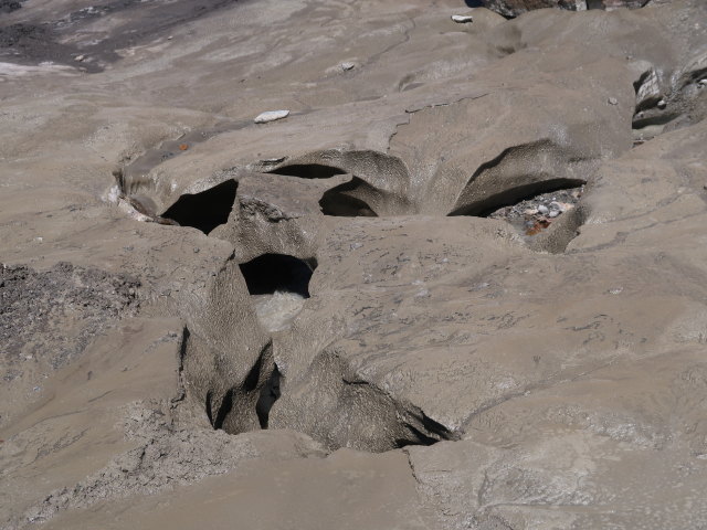 zwischen Becherhaus und Vogelhütte (18. Juli)