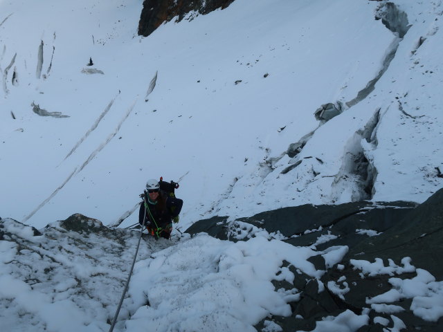 Romana zwischen Ködnitzkees und Erzherzog-Johann-Hütte (13. Aug.)