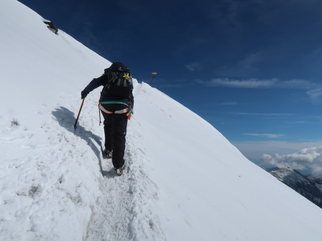 Romana am Glocknerleitl (13. Aug.)