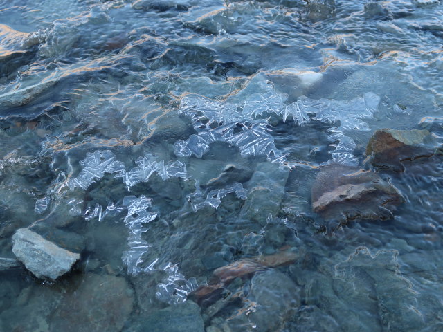 zwischen Hohenwartkees und Alter Salmhütte (14. Aug.)