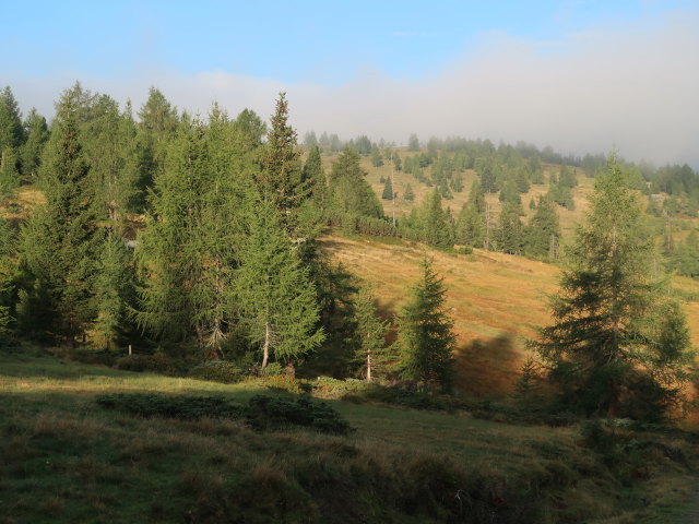 zwischen Bonner Hütte und Atzensberger Alm (3. Sep.)