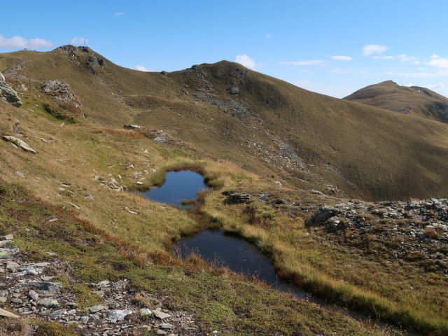 zwischen Bärennock und Kleinem Königstuhl (4. Sep.)