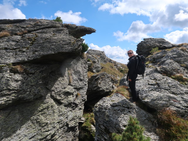 Sabine zwischen Kleinem Königstuhl und Feldernock (4. Sep.)
