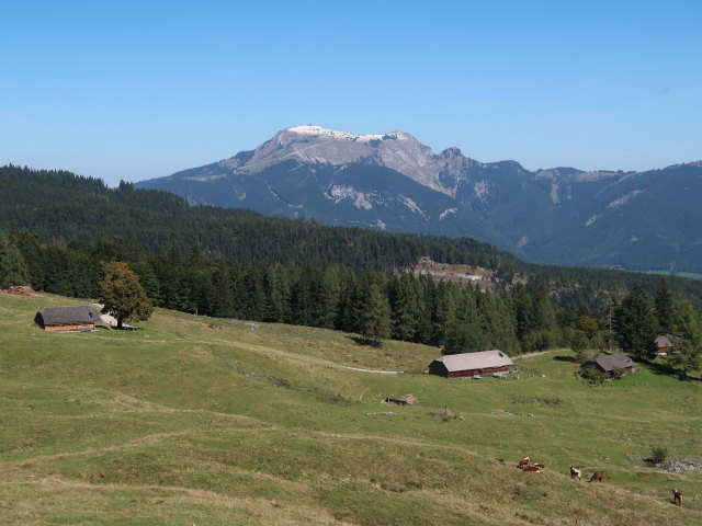 Zinkeneckalm, 1.162 m