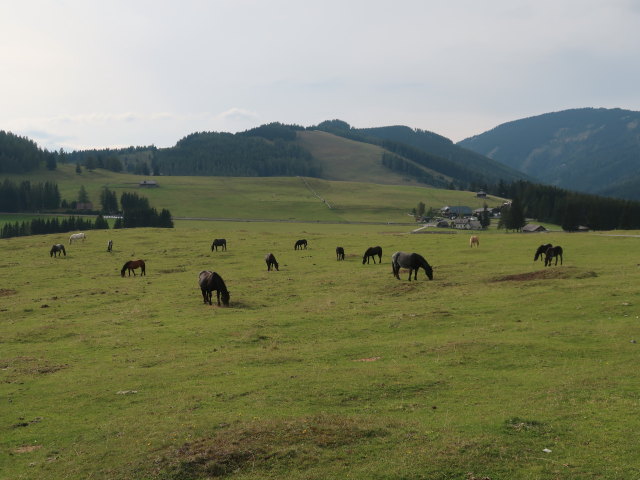 zwischen Osser und Angerwirt