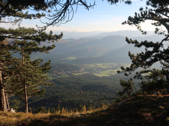 Neusiedl am Walde vom Grafenbergweg aus