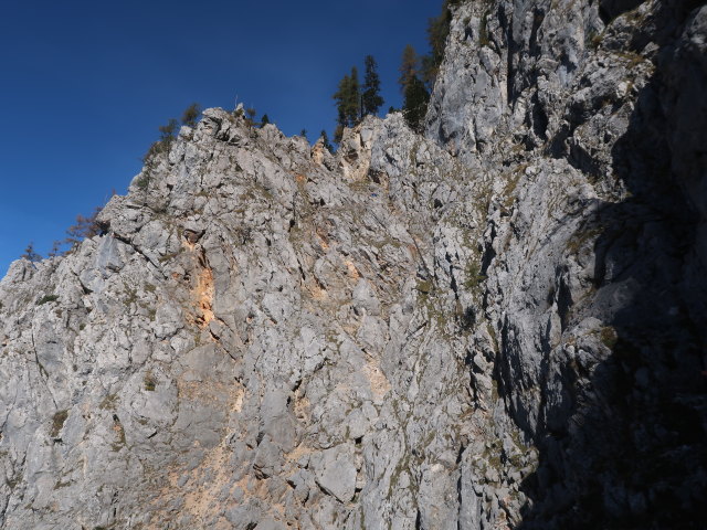 zwischen Brunntal und Riegerinalm