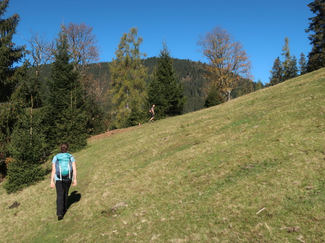 Sabine zwischen Lackenkapelle und Ginausattel