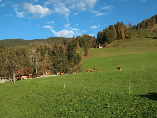 zwischen Schuhzach und Oberbichl