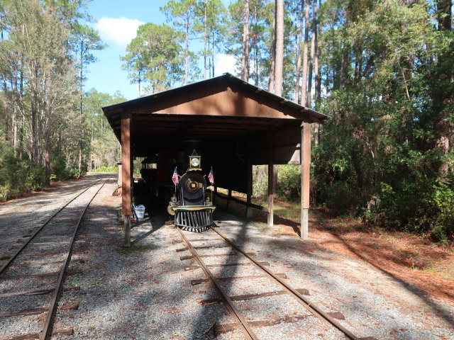 Okefenokee Swamp Park (7. Nov.)