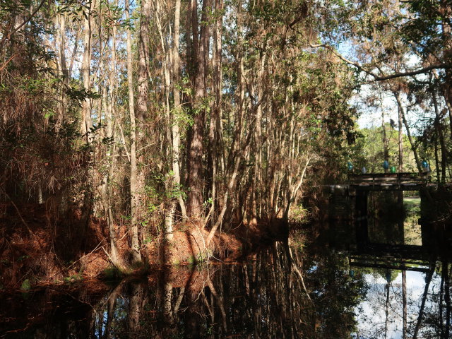 Okefenokee Swamp Park (7. Nov.)