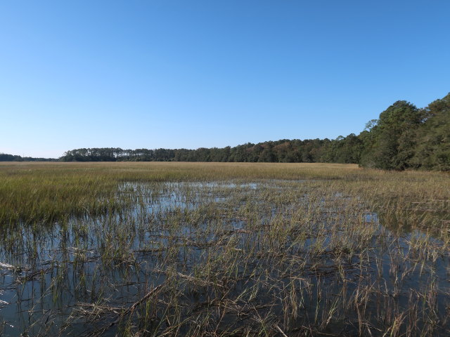 Skidaway River (8. Nov.)