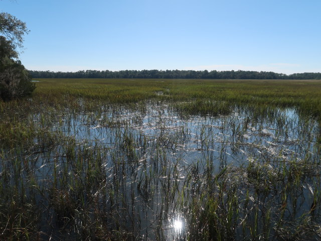 Skidaway River (8. Nov.)