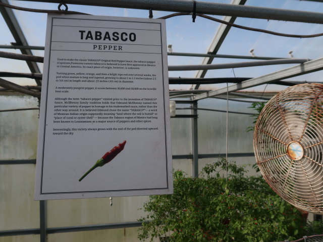 Tabasco Factory auf Avery Island (18. Nov.)