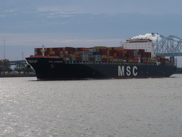 MSC Candice am Mississippi River in New Orleans (20. Nov.)