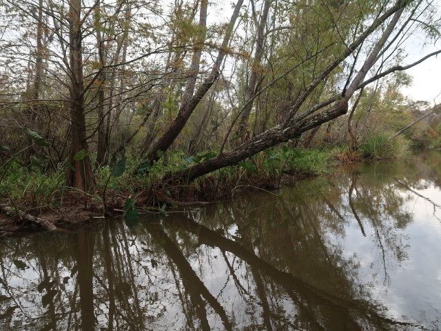 Old Pearl River (20. Nov.)