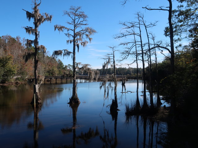 Bellingrath Gardens (21. Nov.)