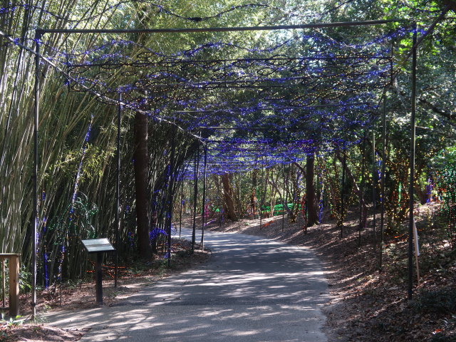 Bellingrath Gardens (21. Nov.)