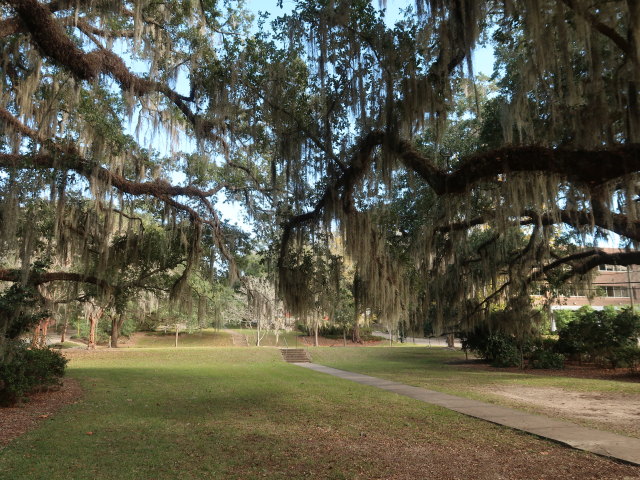 Cherokee Park in Tallahassee (23. Nov.)