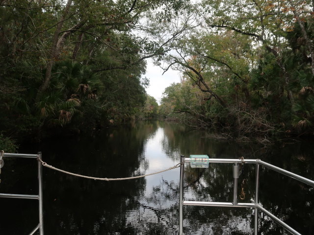 Homosassa River im Homosassa Springs Wildlife State Park (24. Nov.)