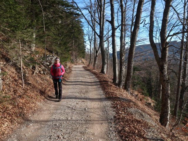 EVelyn zwischen Öhler-Schutzhaus und Haltberghof