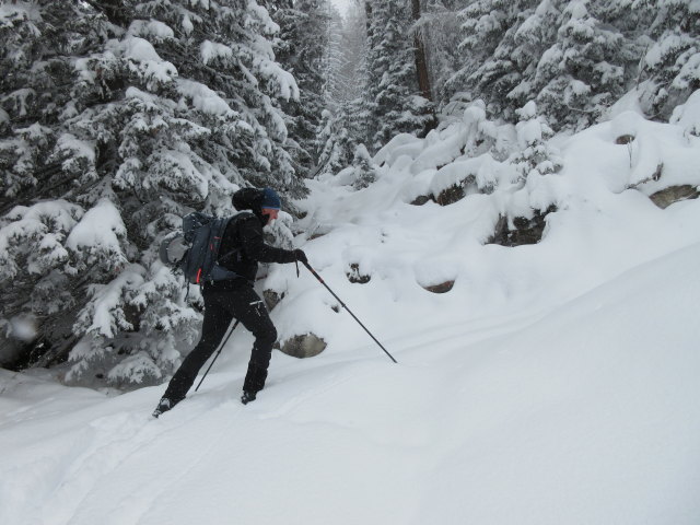 Frank zwischen Gnadenbrücke und Bärwurzkaralm