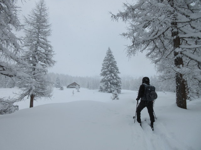 Frank auf der Bärwurzkaralm