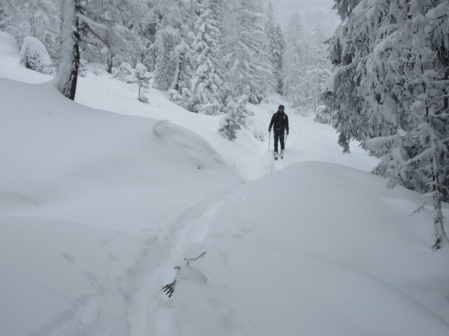 Frank zwischen Scheckkopf und Bärwurzkaralm