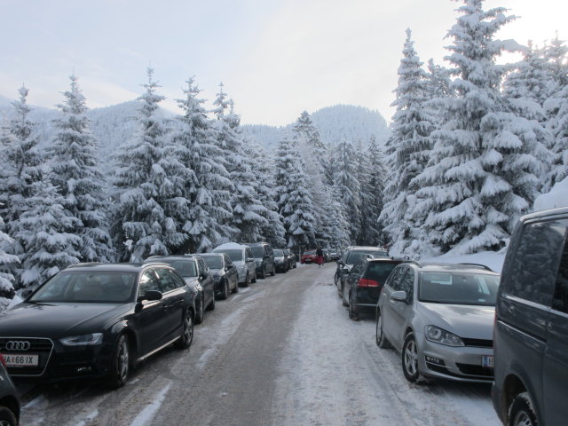 Trattbergstraße zwischen Mautstation und Enzianhütte