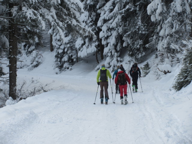 Trattbergstraße zwischen Mautstation und Enzianhütte