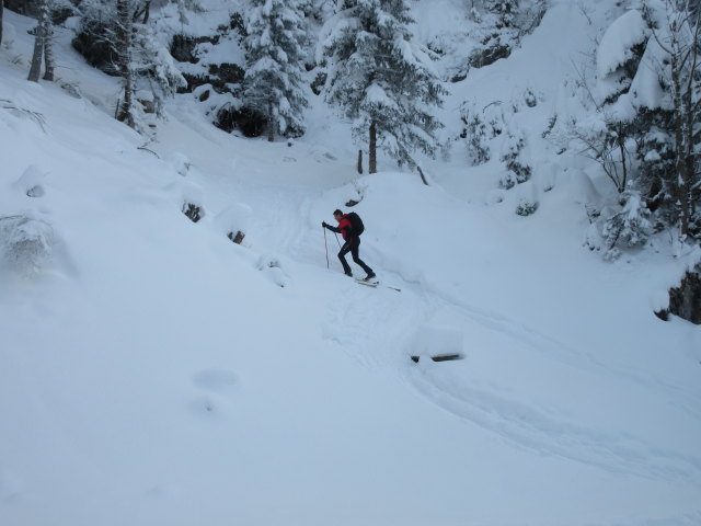 neben der Trattbergstraße zwischen Mautstation und Enzianhütte