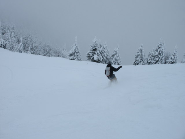 zwischen Vordertrattbergalm und Trattberg